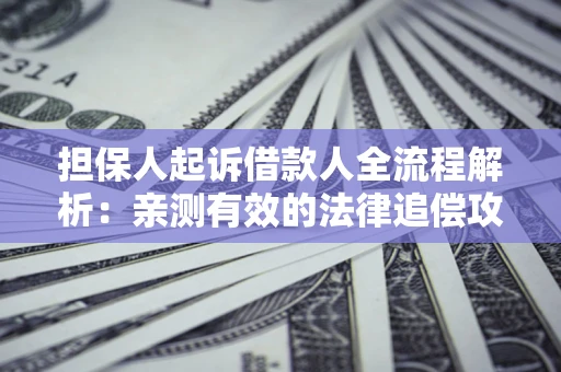 济南担保人起诉借款人全流程解析：亲测有效的法律追偿攻略