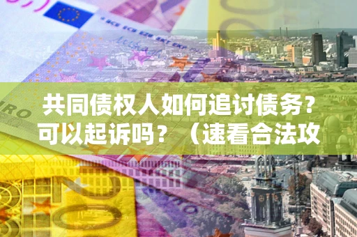 济南共同债权人如何追讨债务？可以起诉吗？（速看合法攻略）